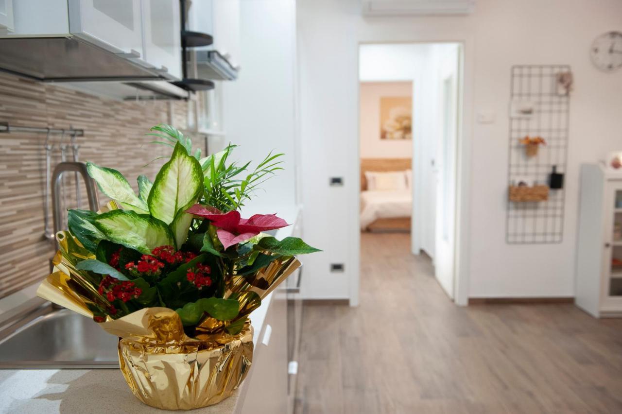 Sungarda Apartment Monzambano Εξωτερικό φωτογραφία